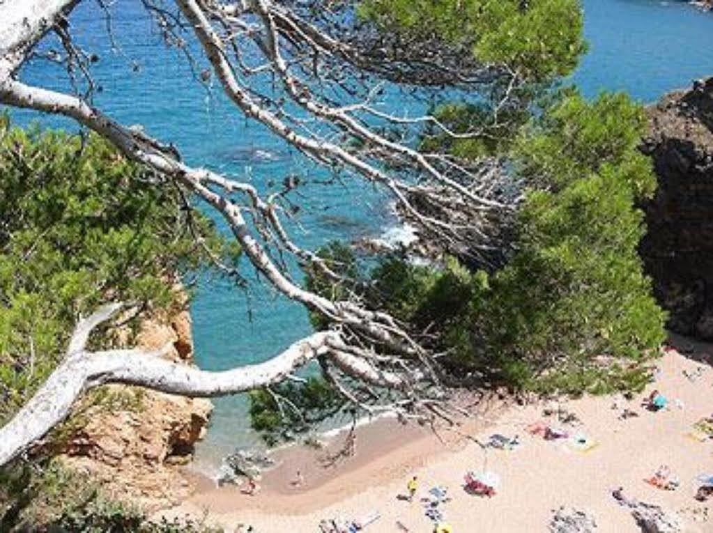 Aparthotel Arenal Pals Bagian luar foto